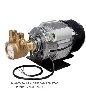 373 WATT MOTOR, 230 V SINGLE-PHASE, 48YZ